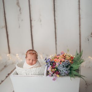 Twin Basket